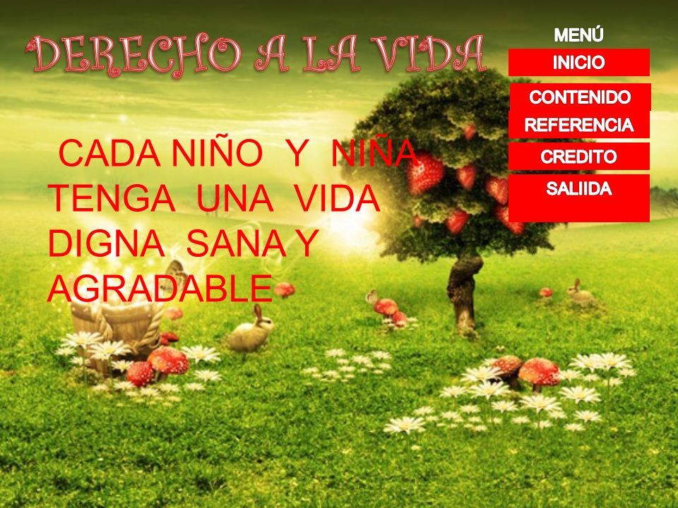 DERECHO A LA VIDA MENÚ. INICIO. CONTENIDO. REFERENCIA. CADA NIÑO Y NIÑA TENGA UNA VIDA DIGNA SANA Y AGRADABLE.