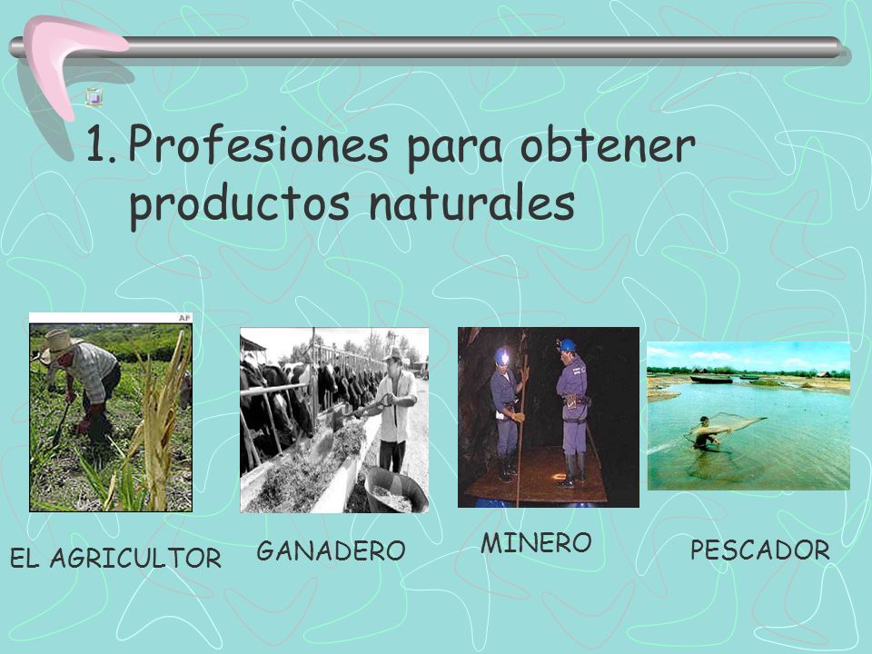 Profesiones para obtener productos naturales
