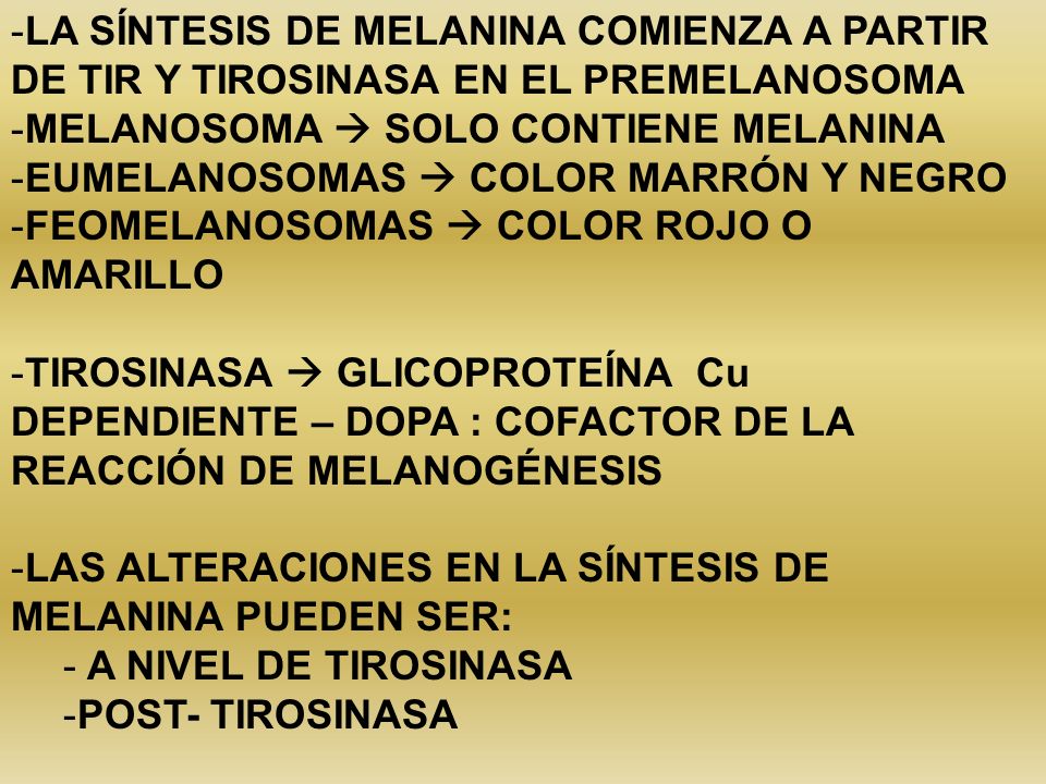 LA SÍNTESIS DE MELANINA COMIENZA A PARTIR DE TIR Y TIROSINASA EN EL PREMELANOSOMA
