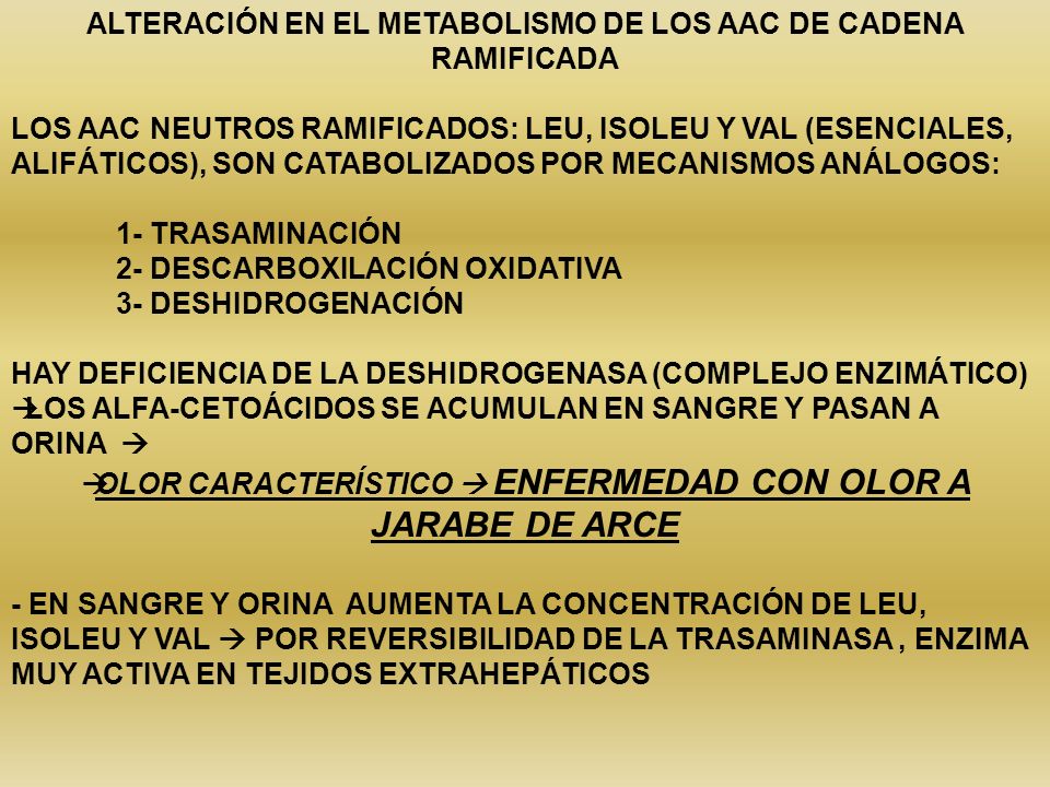 ALTERACIÓN EN EL METABOLISMO DE LOS AAC DE CADENA RAMIFICADA