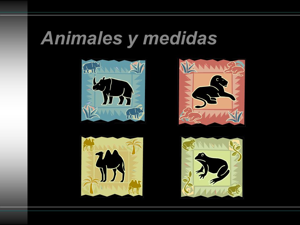 Animales y medidas