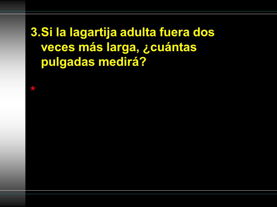 3.Si la lagartija adulta fuera dos veces más larga, ¿cuántas pulgadas medirá