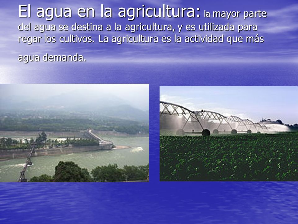 El agua en la agricultura: la mayor parte del agua se destina a la agricultura, y es utilizada para regar los cultivos.