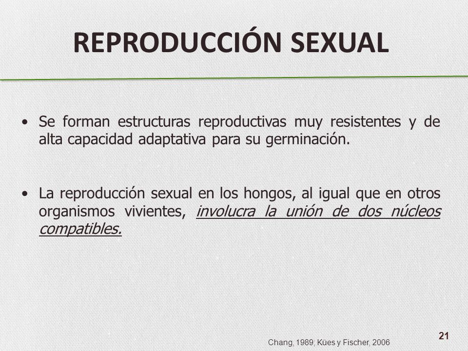 REPRODUCCIÓN SEXUAL Se forman estructuras reproductivas muy resistentes y de alta capacidad adaptativa para su germinación.