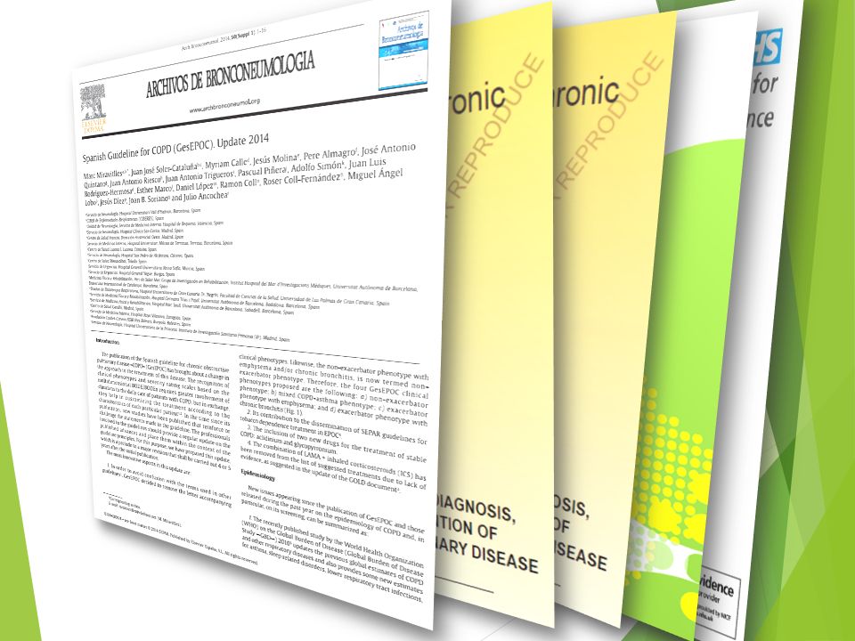 OMS: La enfermedad pulmonar obstructiva crónica (EPOC) se caracteriza por un bloqueo persistente del flujo de aire.