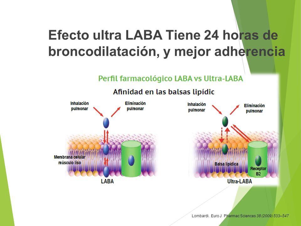 Efecto ultra LABA Tiene 24 horas de broncodilatación, y mejor adherencia