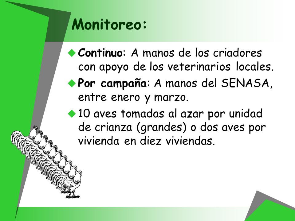 Monitoreo: Continuo: A manos de los criadores con apoyo de los veterinarios locales. Por campaña: A manos del SENASA, entre enero y marzo.
