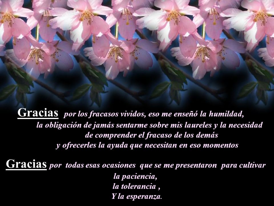Gracias por los fracasos vividos, eso me enseñó la humildad,