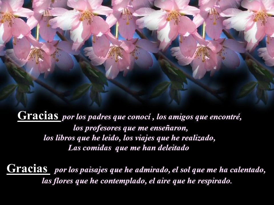 Gracias por los padres que conocí , los amigos que encontré,