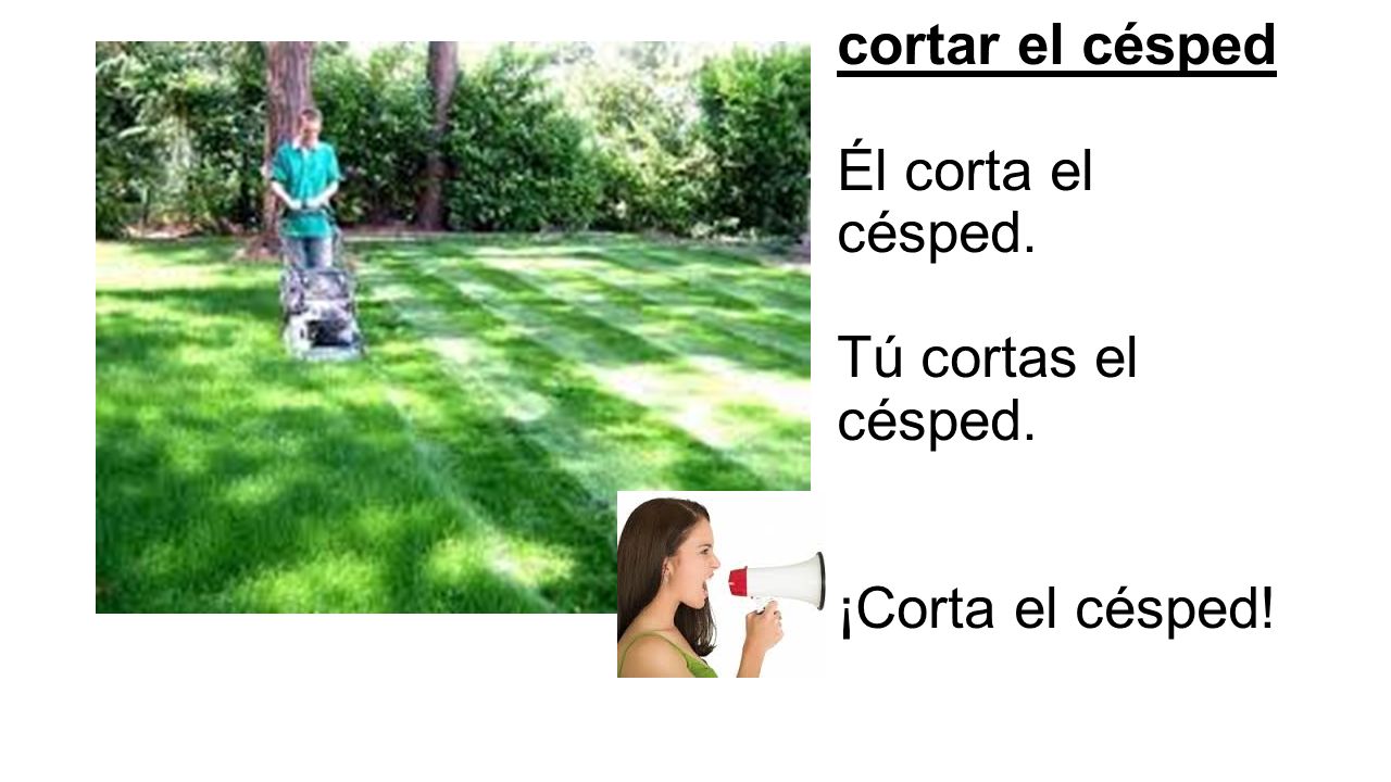 cortar el césped Él corta el césped. Tú cortas el césped