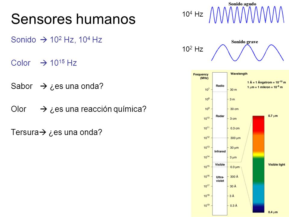 Sensores humanos Sonido  102 Hz, 104 Hz Color  1015 Hz