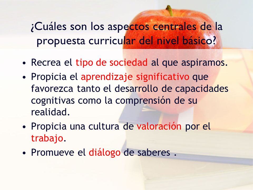 ¿Cuáles son los aspectos centrales de la propuesta curricular del nivel básico