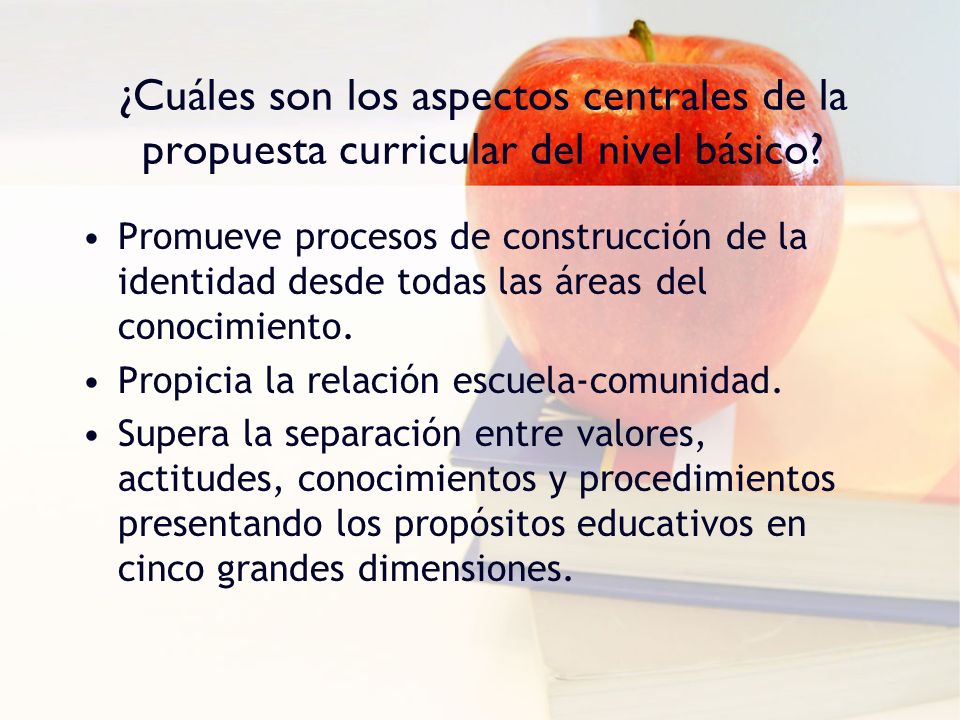 ¿Cuáles son los aspectos centrales de la propuesta curricular del nivel básico
