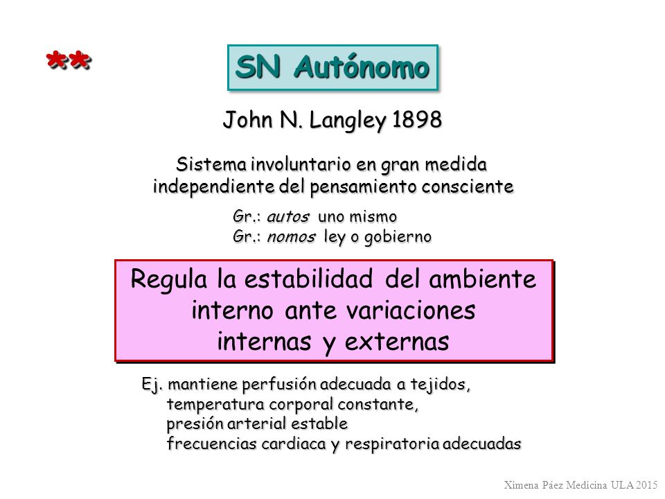 * * SN Autónomo. John N. Langley Sistema involuntario en gran medida. independiente del pensamiento consciente.