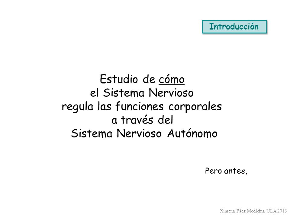 regula las funciones corporales a través del Sistema Nervioso Autónomo
