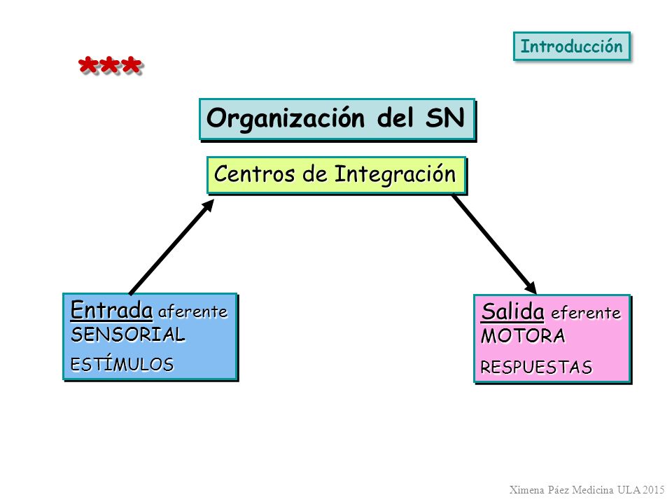 * ** Organización del SN Centros de Integración Entrada aferente