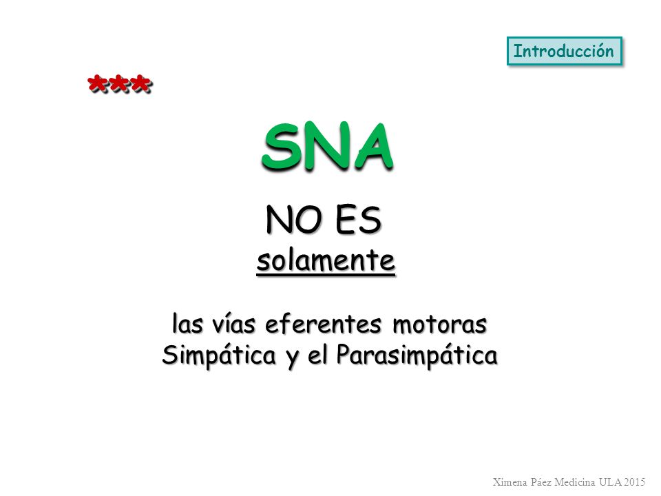 SNA *** NO ES solamente las vías eferentes motoras