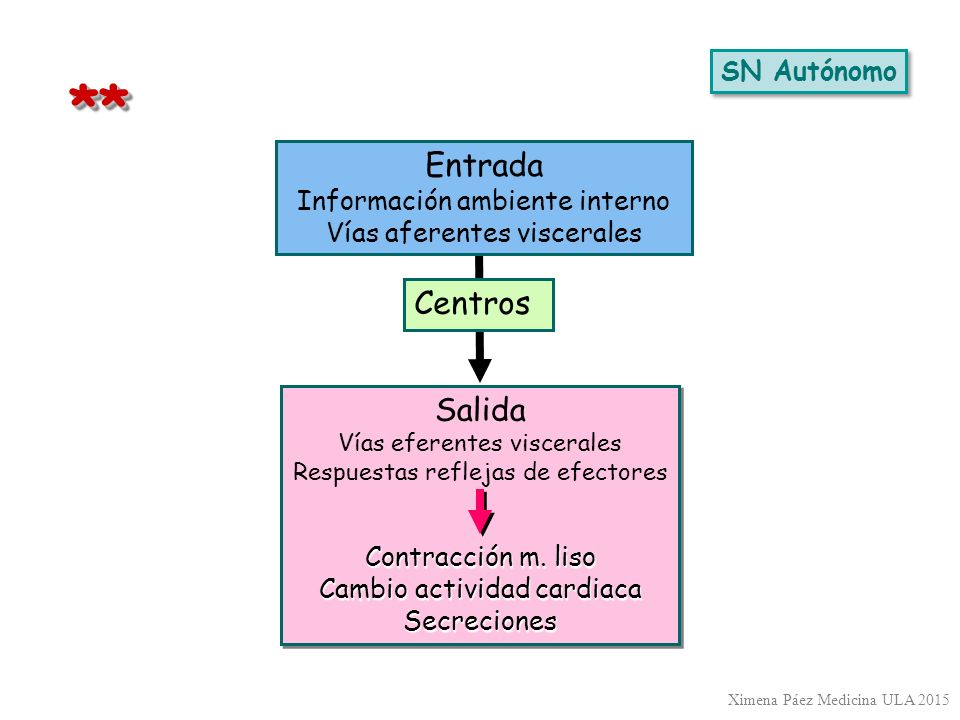 * * Entrada Centros Salida SN Autónomo Información ambiente interno