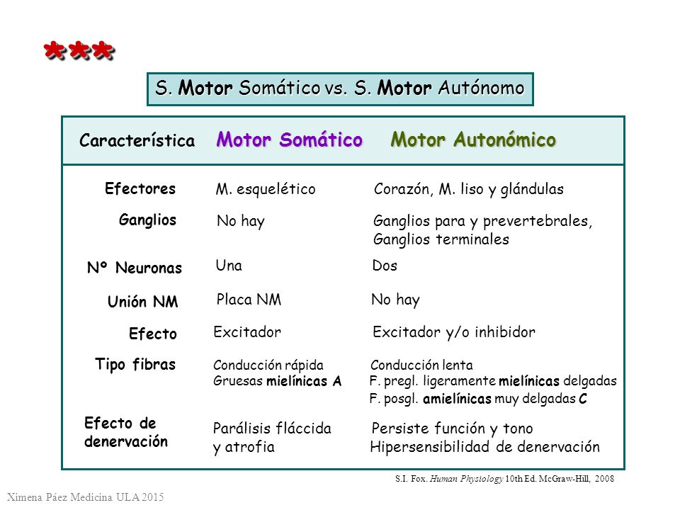 * * * S. Motor Somático vs. S. Motor Autónomo Característica