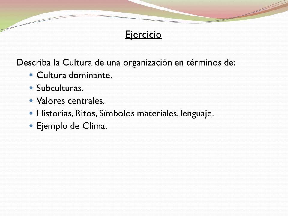 Ejercicio Describa la Cultura de una organización en términos de: