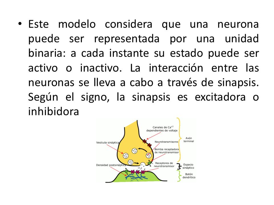 Este modelo considera que una neurona puede ser representada por una unidad binaria: a cada instante su estado puede ser activo o inactivo.