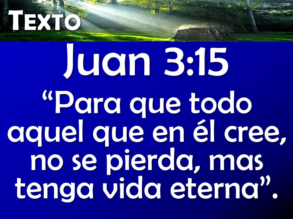 Texto Juan 3:15 Para que todo aquel que en él cree, no se pierda, mas tenga vida eterna .