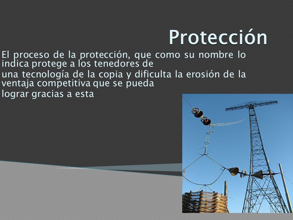 Protección El proceso de la protección, que como su nombre lo indica protege a los tenedores de.
