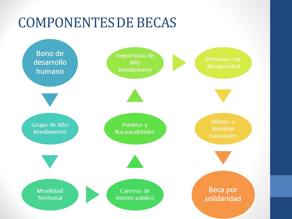 Componentes de becas Bono de desarrollo humano Beca por solidaridad