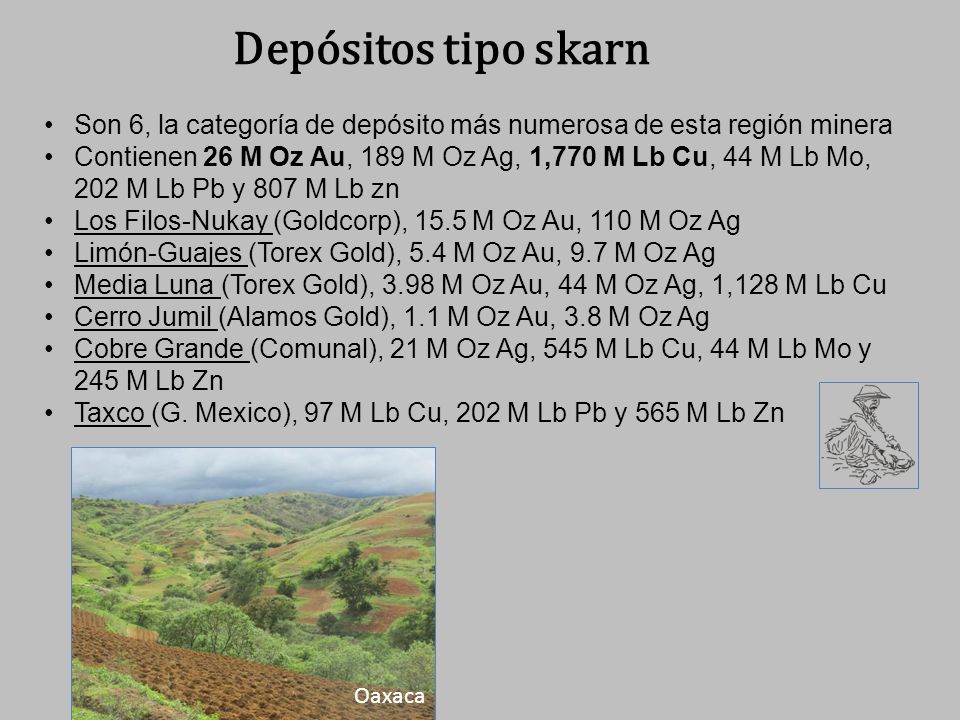 Depósitos tipo skarn Son 6, la categoría de depósito más numerosa de esta región minera.