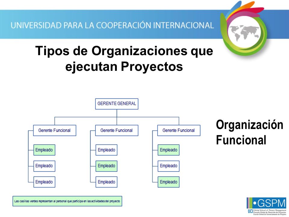 Tipos de Organizaciones que ejecutan Proyectos