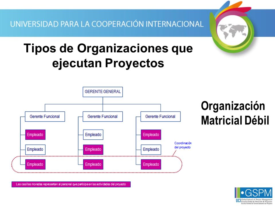 Tipos de Organizaciones que ejecutan Proyectos