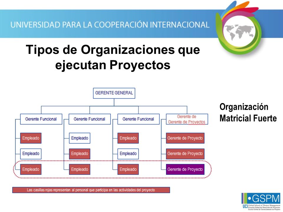 Tipos de Organizaciones que ejecutan Proyectos