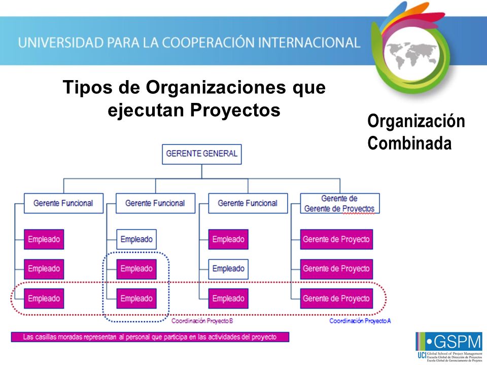 Tipos de Organizaciones que ejecutan Proyectos
