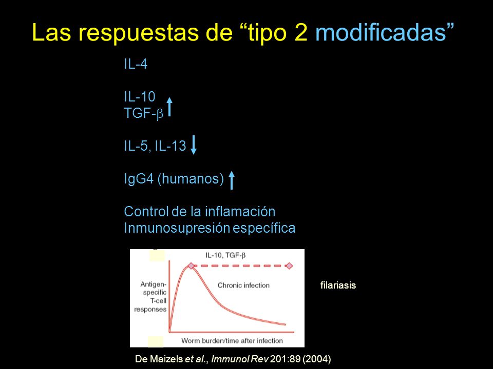 Las respuestas de tipo 2 modificadas