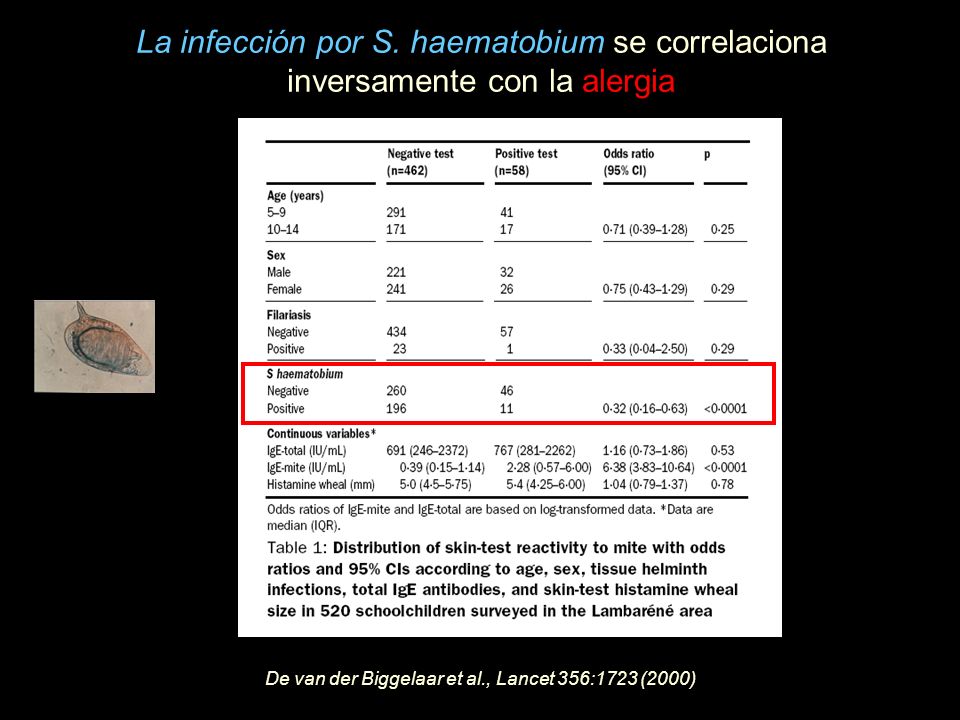 La infección por S. haematobium se correlaciona inversamente con la alergia