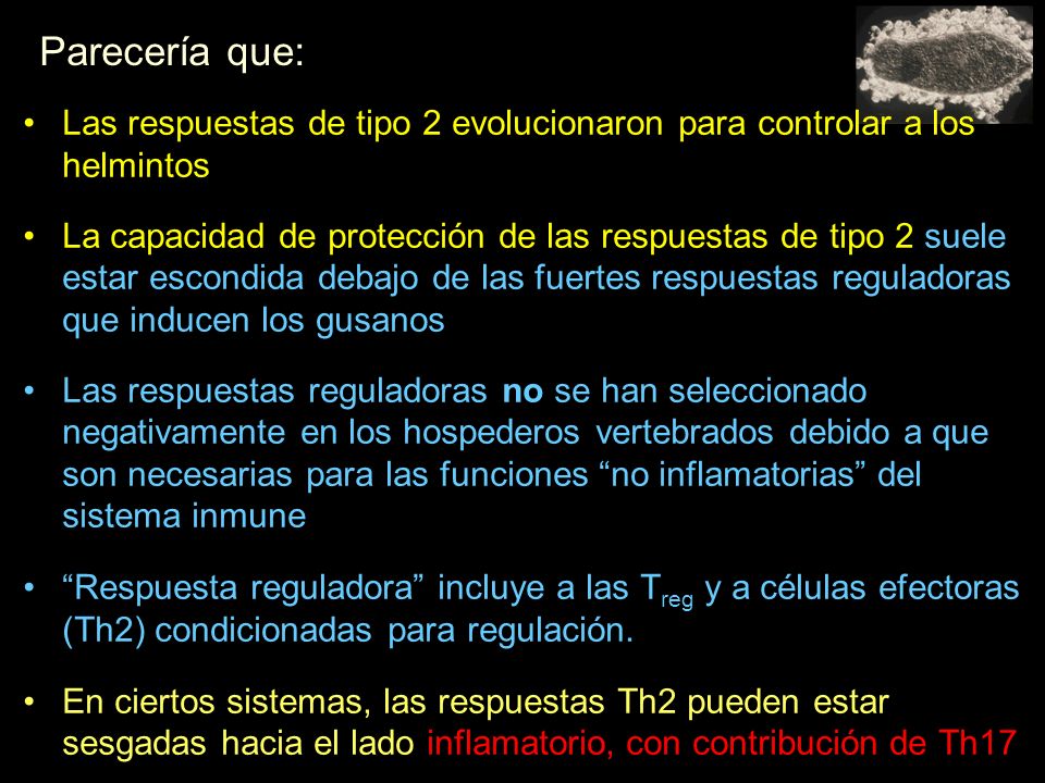 Parecería que: Las respuestas de tipo 2 evolucionaron para controlar a los helmintos.
