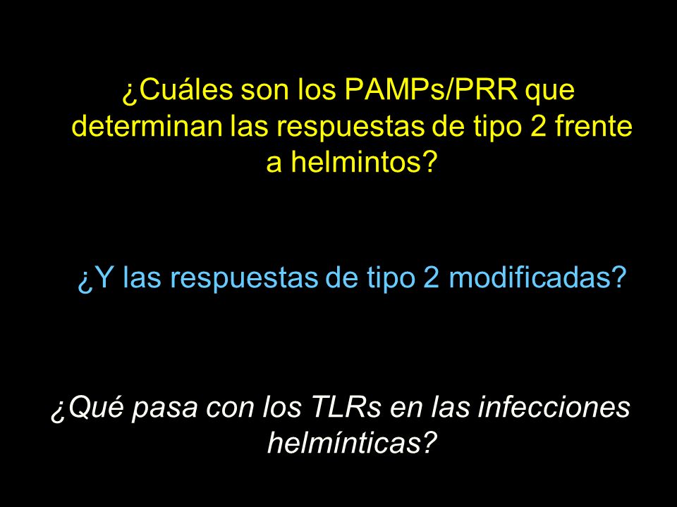 ¿Y las respuestas de tipo 2 modificadas
