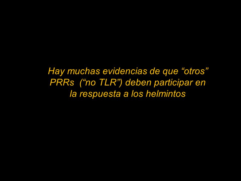 Hay muchas evidencias de que otros PRRs ( no TLR ) deben participar en la respuesta a los helmintos