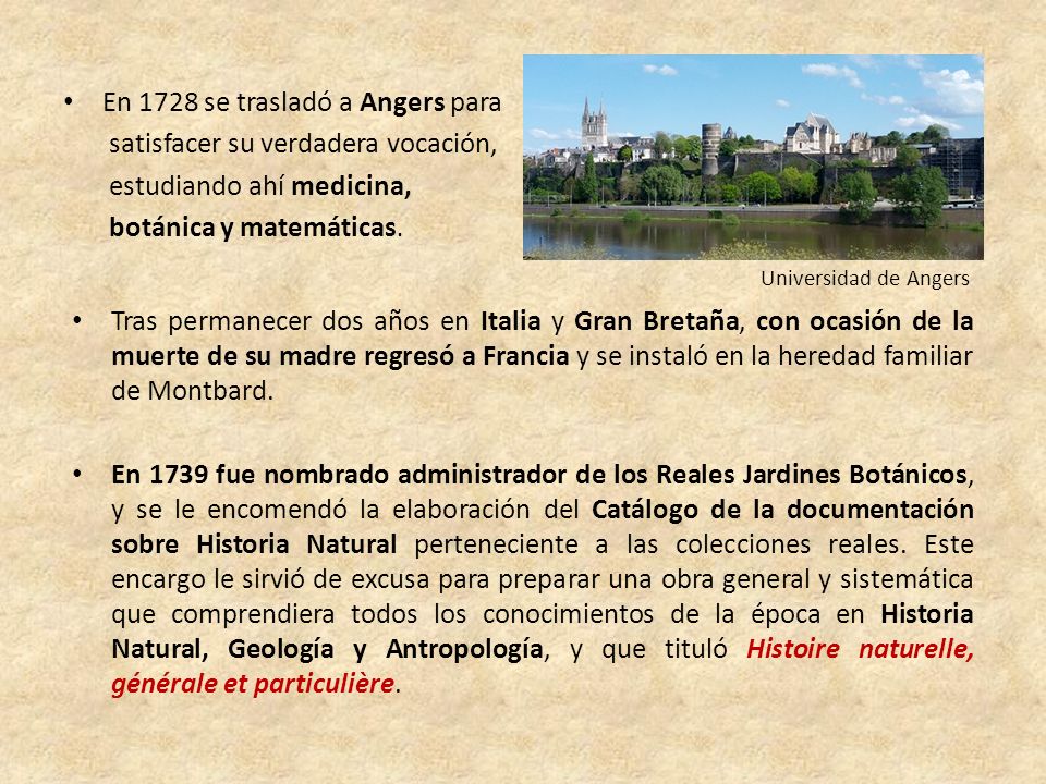 En 1728 se trasladó a Angers para satisfacer su verdadera vocación,