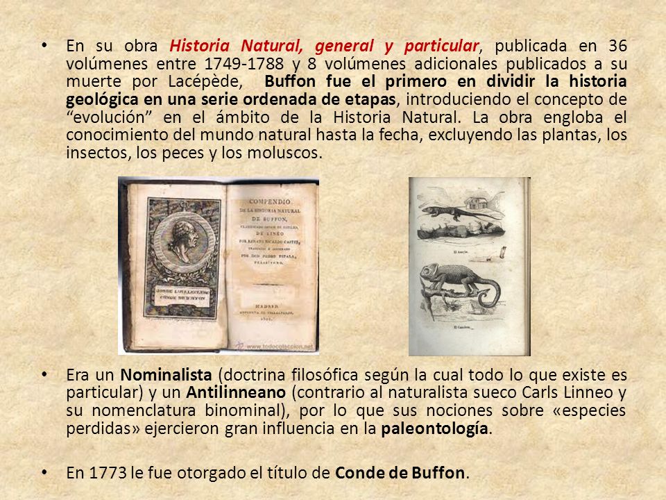 En su obra Historia Natural, general y particular, publicada en 36 volúmenes entre y 8 volúmenes adicionales publicados a su muerte por Lacépède, Buffon fue el primero en dividir la historia geológica en una serie ordenada de etapas, introduciendo el concepto de evolución en el ámbito de la Historia Natural. La obra engloba el conocimiento del mundo natural hasta la fecha, excluyendo las plantas, los insectos, los peces y los moluscos.