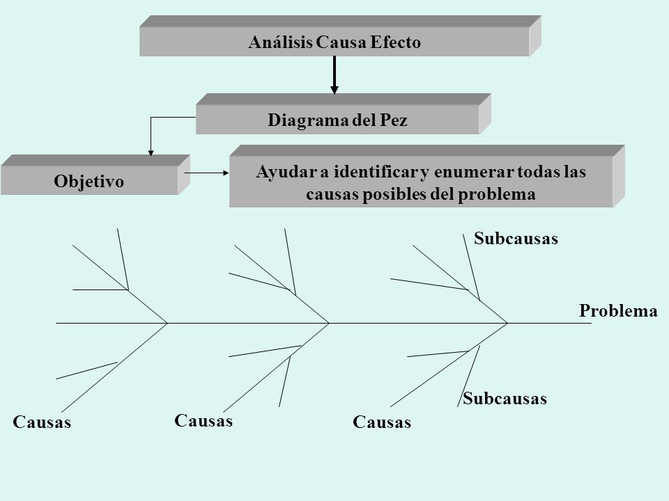 Ayudar a identificar y enumerar todas las causas posibles del problema