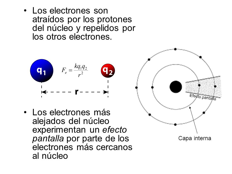 Los electrones son atraídos por los protones del núcleo y repelidos por los otros electrones.