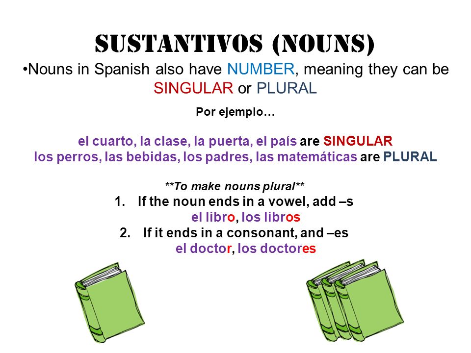 SUStANTIVOS (Nouns) Nouns in Spanish also have NUMBER, meaning they can be SINGULAR or PLURAL. Por ejemplo…