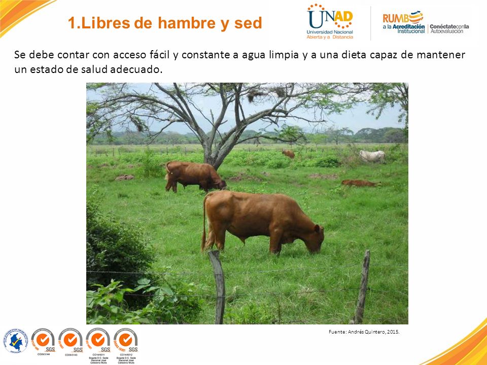 1.Libres de hambre y sed Se debe contar con acceso fácil y constante a agua limpia y a una dieta capaz de mantener un estado de salud adecuado.