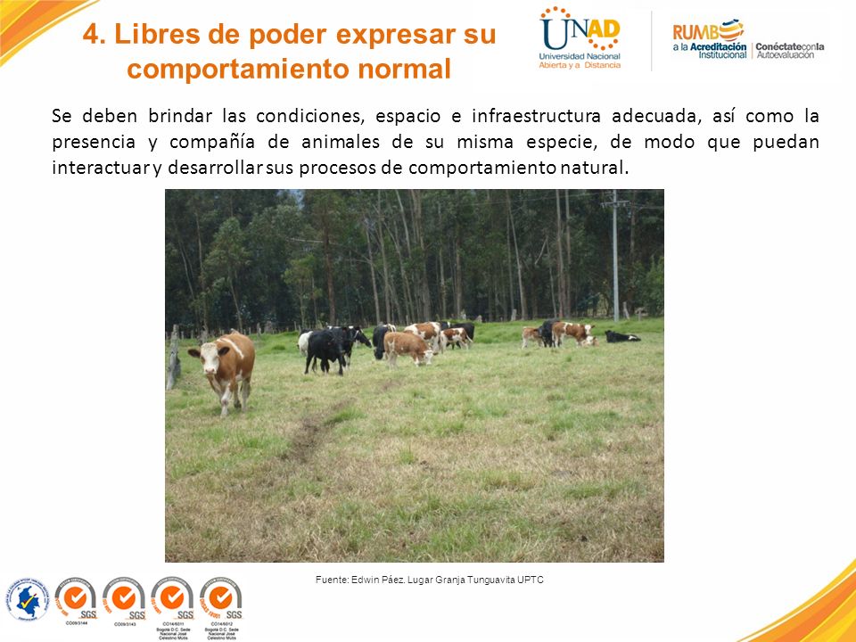 4. Libres de poder expresar su comportamiento normal