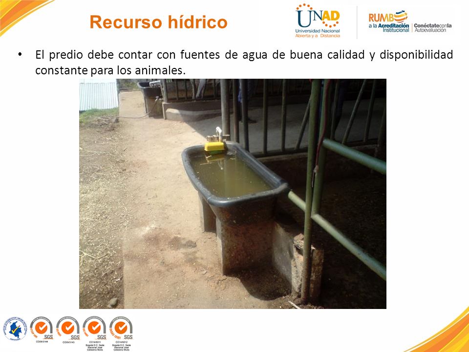 Recurso hídrico El predio debe contar con fuentes de agua de buena calidad y disponibilidad constante para los animales.