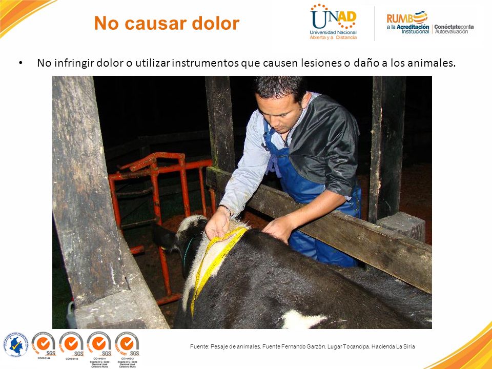 No causar dolor No infringir dolor o utilizar instrumentos que causen lesiones o daño a los animales.