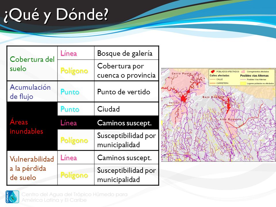 ¿Qué y Dónde Cobertura del suelo Línea Bosque de galería Polígono