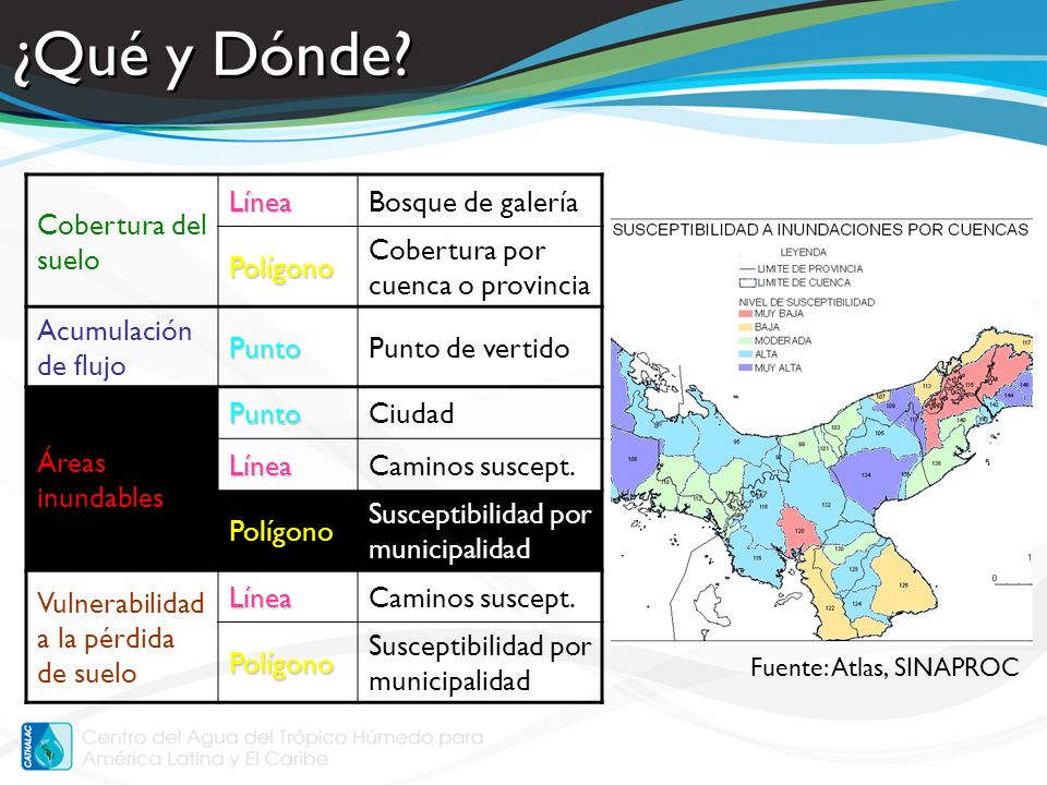 ¿Qué y Dónde Cobertura del suelo Línea Bosque de galería Polígono