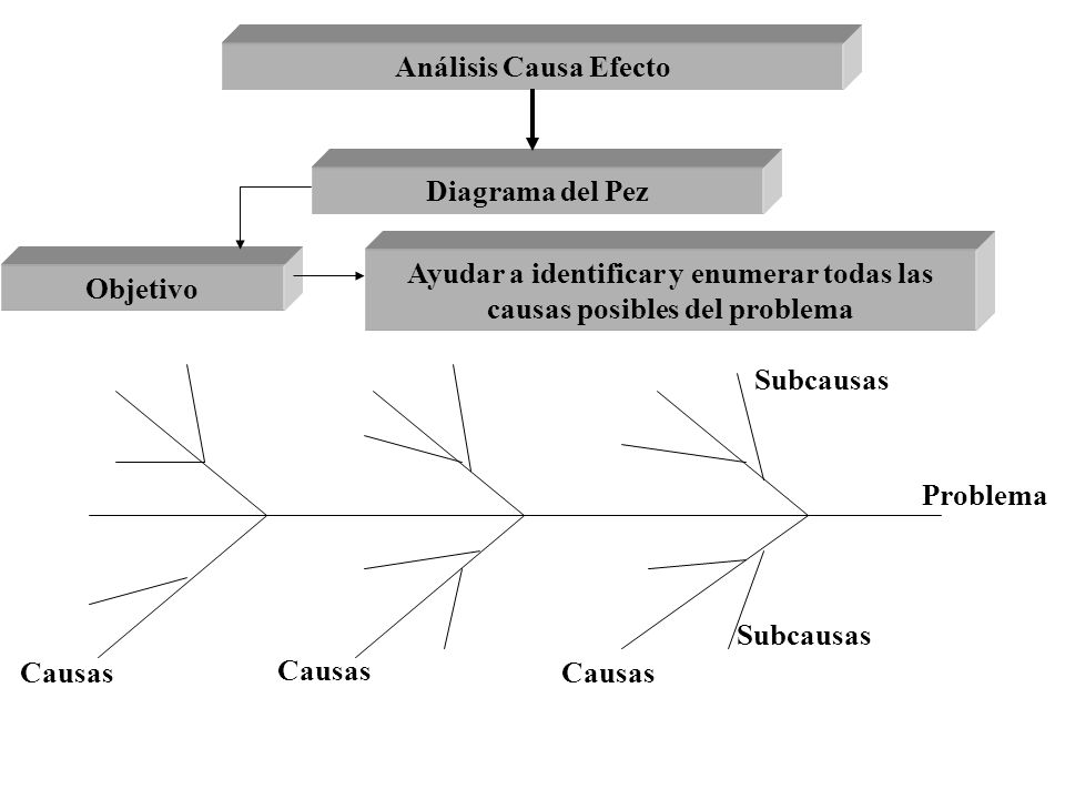 Ayudar a identificar y enumerar todas las causas posibles del problema